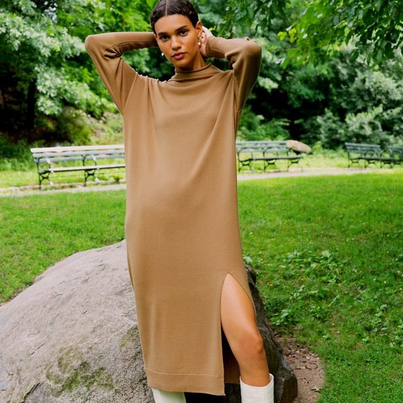 Aritzia Wilfred Dresses & Skirts - Aritzia Wilfred | Cyprie Mock-Neck Sweater Dress | Size XXS | Tan Colour